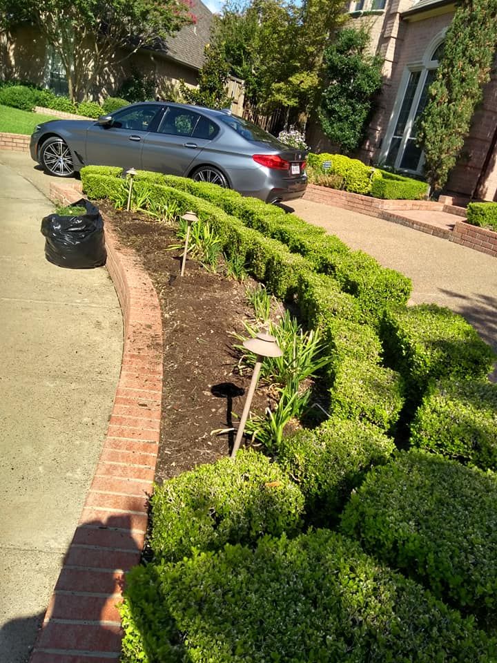 Our Tree & Shrub Care service ensures healthy, vibrant landscapes through expert pruning, disease prevention, and nutrient-rich treatments tailored to enhance growth and resilience for every tree and shrub in your yard. for Green City Landscape and Lawn Care LLC in Mesquite, TX