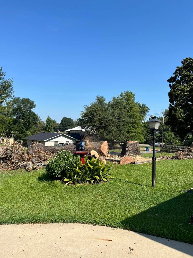 All Photos for JC Land and Tree Service in Kilgore, TX