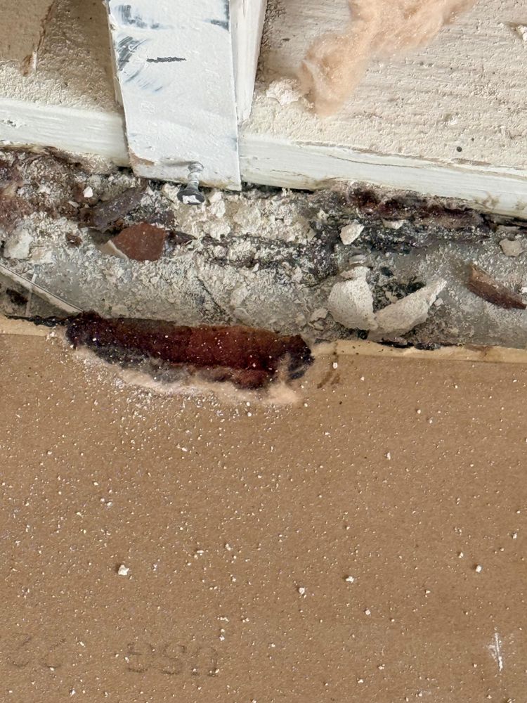 All Photos for N&D Restoration Services: When Disaster Strikes, We Come In in Cape Coral,  FL