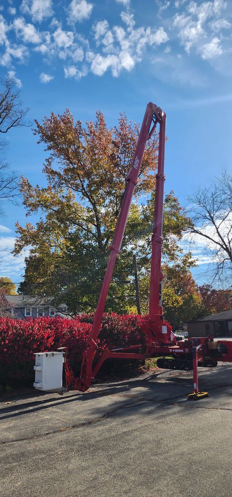 Tree Trimming and Removal for F & F Tree Service in Beavercreek, OH