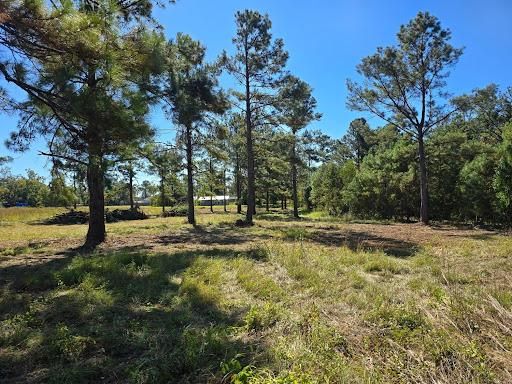 All Photos for Giles Land Management, LLC in Hahira, GA