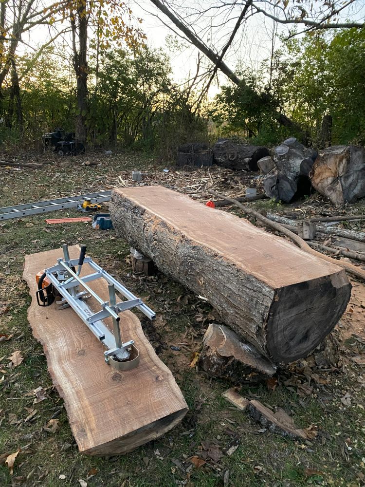 All Photos for Houtz Tree Service in Lexington, KY