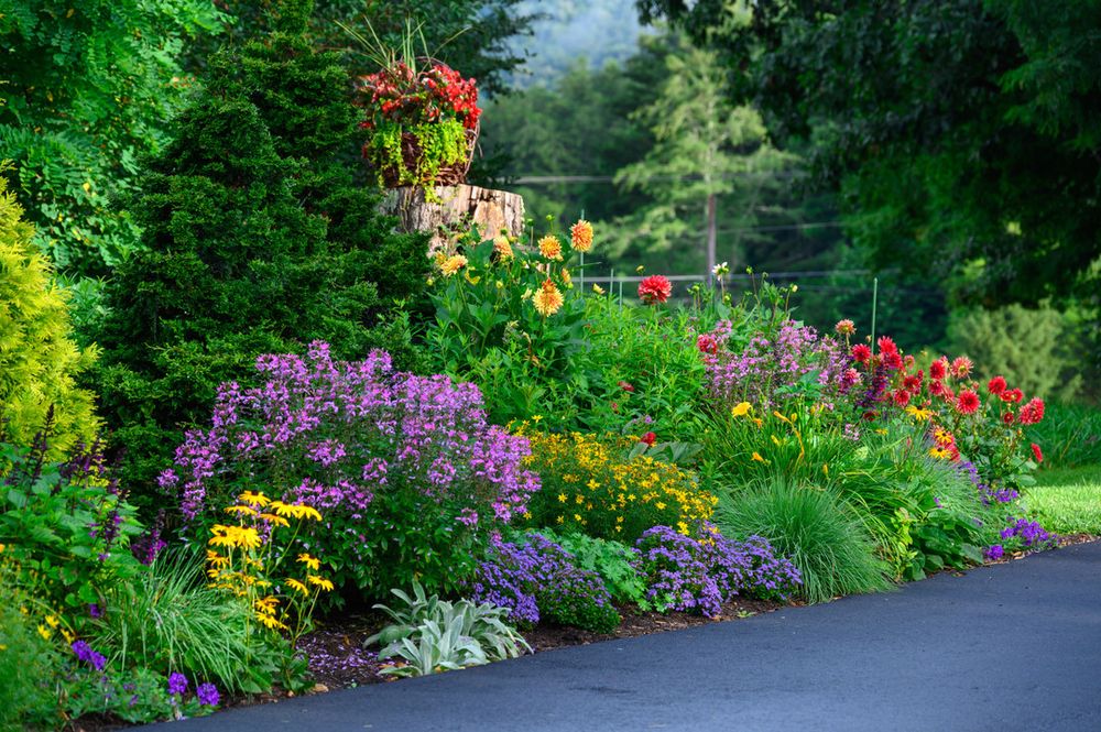 All Photos for Sustainable Lawn and Landscape in Banner Elk, NC
