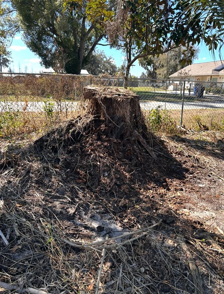 All Photos for Greene Acres Stump Grinding in Plant City, FL