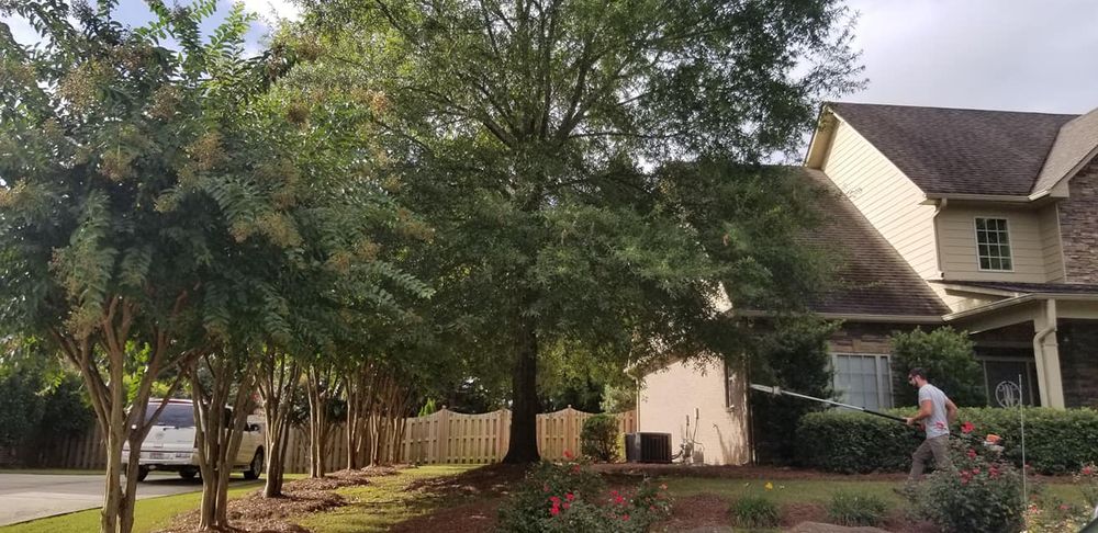 DNA Tree Service team in Birmingham, AL - people or person