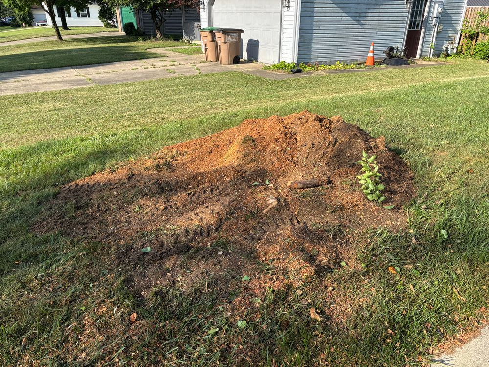 All Photos for Conrad's Stump Removal in Columbus, IN