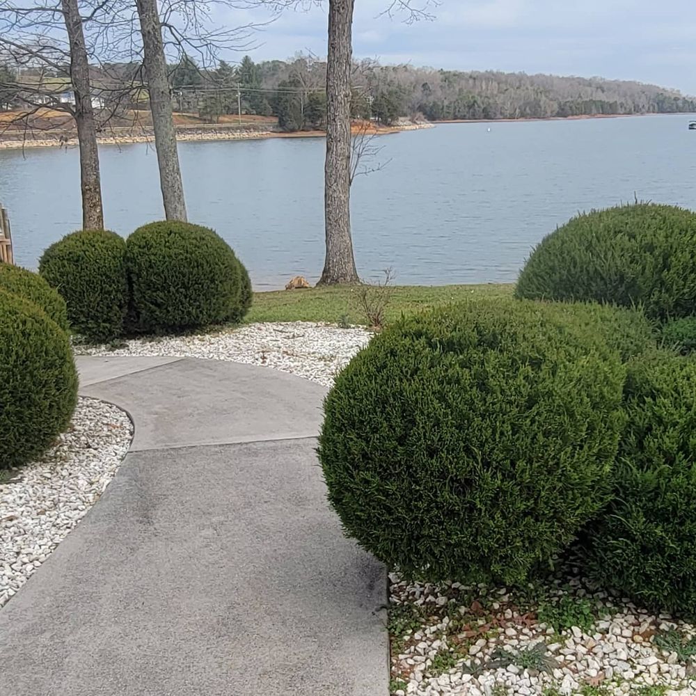 Enhance your home's curb appeal with our professional shrub trimming service, ensuring healthy growth and pristine shape for your landscape. Trust our experts to maintain your garden's beauty all year round. for Great Lakes Lawn & Landscape in knoxville, TN
