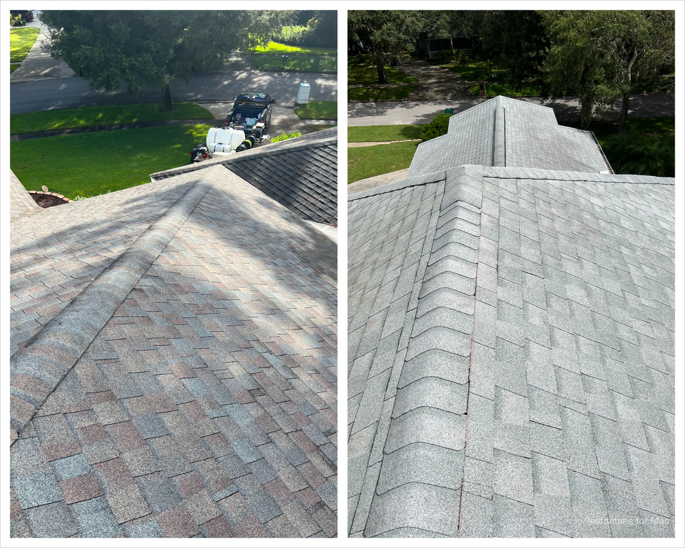 Roof Cleaning for Pressure Washing Warrior LLC in Ocoee, FL