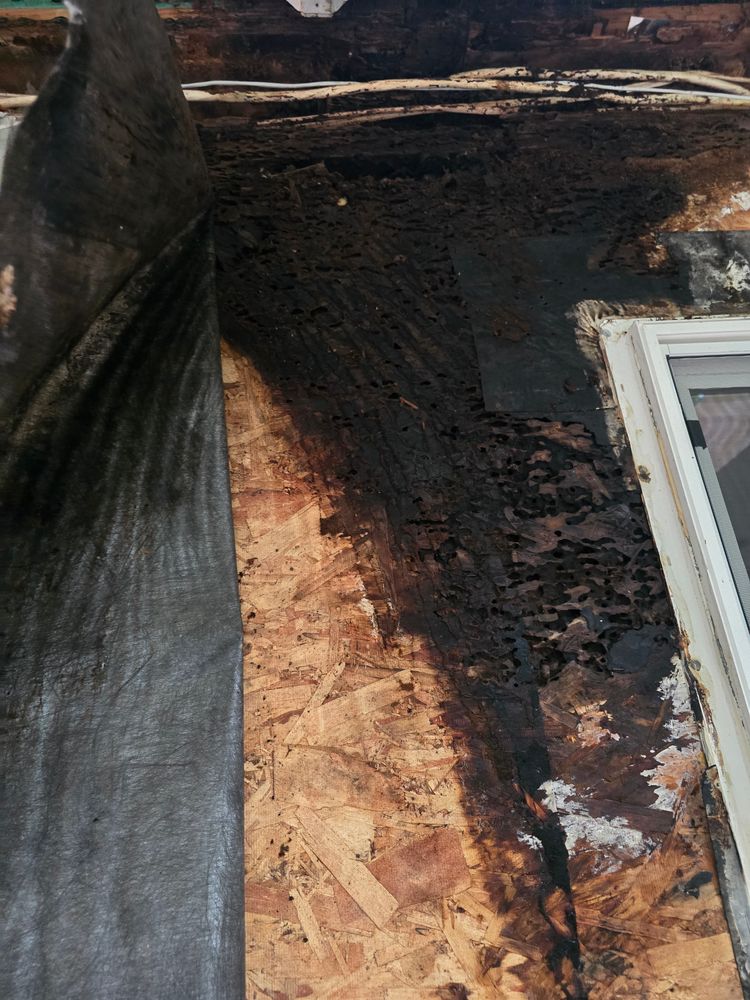 All Photos for Matthew Brooms Construction  in Coos Bay, OR