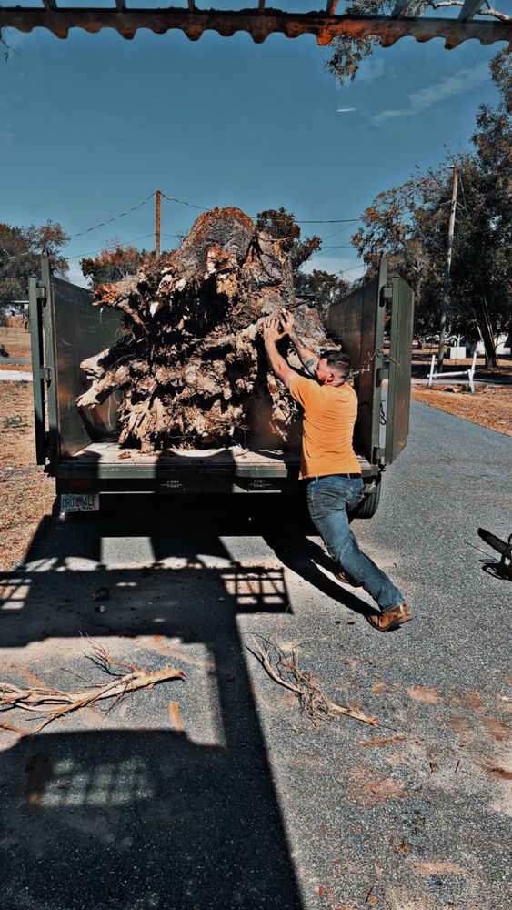 All Photos for All Around Guys Tree Service in Ocala, FL