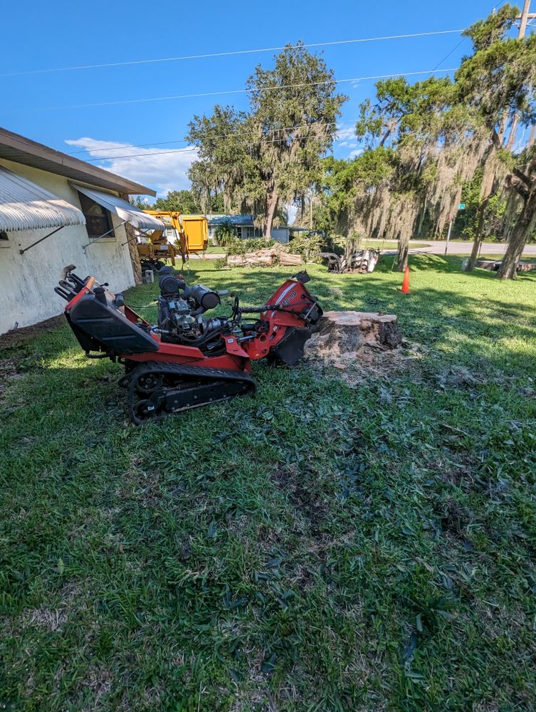 All Photos for Regal Tree Service and Stump Grinding in Wauchula, FL