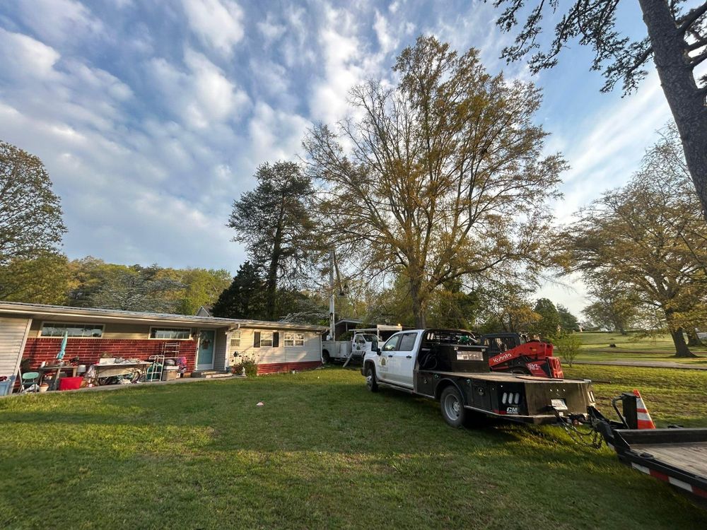 All Photos for Chipper's Tree Service  in Fort Payne, AL
