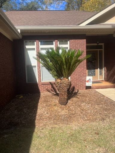 All Photos for All-Star Lawn Care & Soft Washing in Mobile, AL