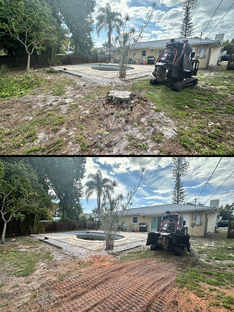 Stump Removal for Adam's Tree and Stump Care in Bradenton, Florida