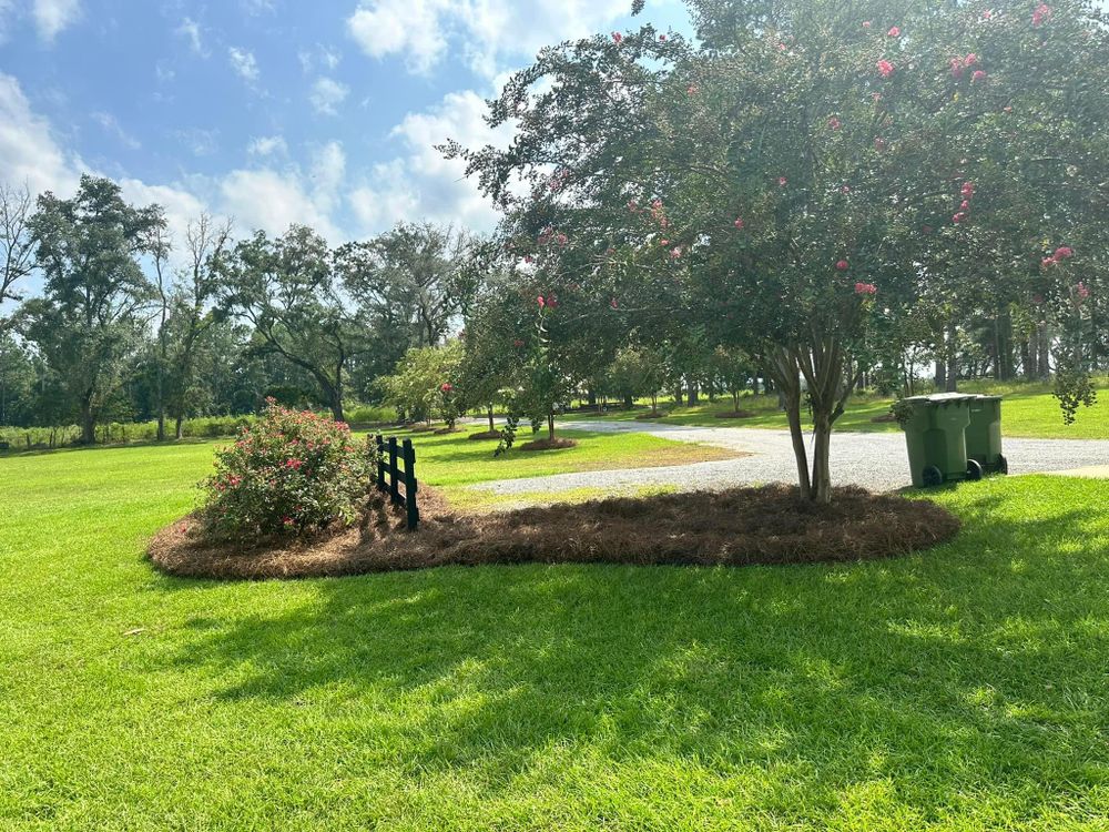 All Photos for Deep South Lawn Care in Moultrie, GA