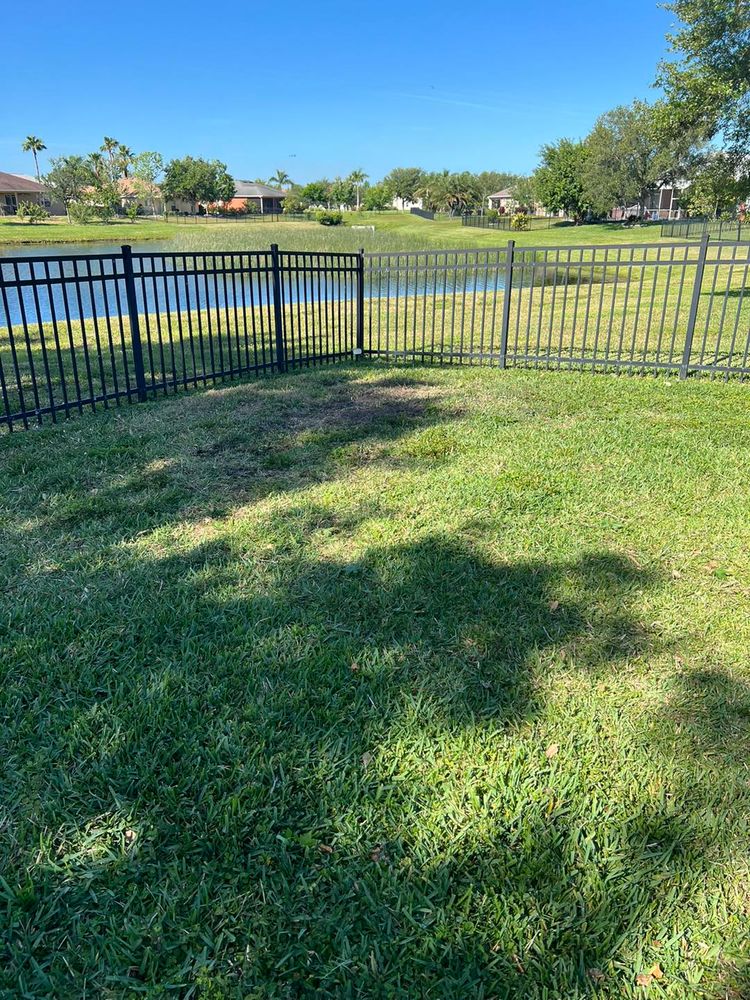 Tree Removal for TREE BOYS in Ruskin, FL