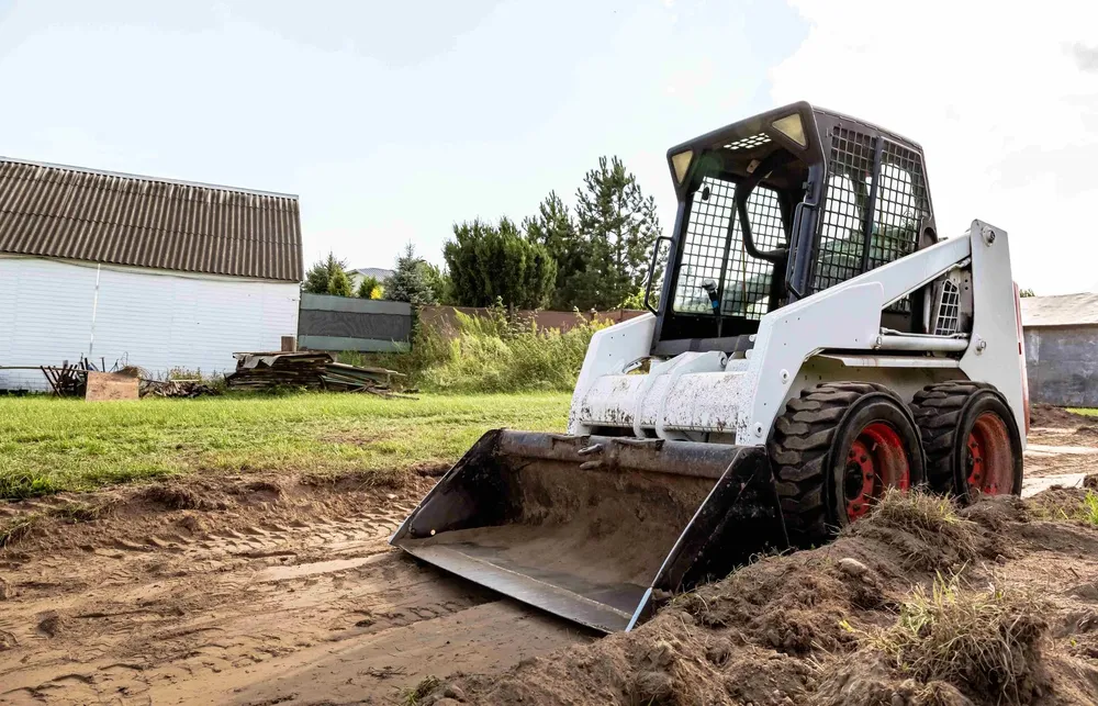 All Photos for Busy Beaver Stump Removal, Inc in Clearwater, FL