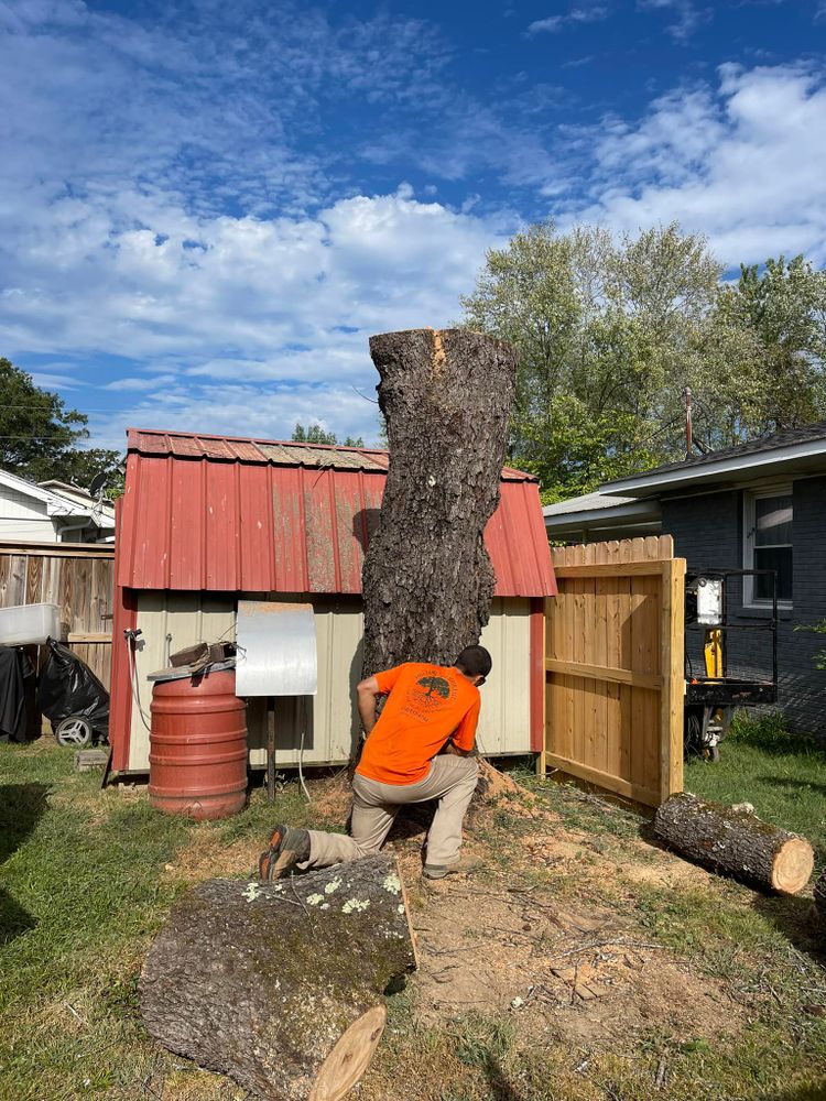 Tree Removal for Ross Family Tree Service LLC  in Hohenwald, TN