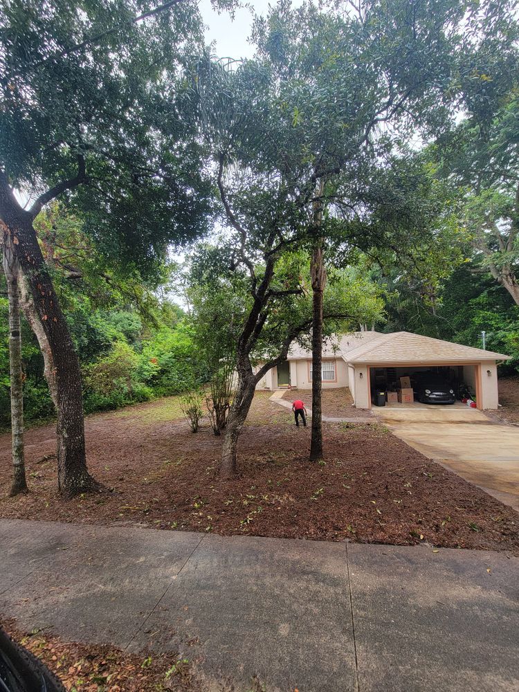 Our Fall Clean Up service ensures your yard is ready for winter, removing leaves, debris, and dead plants. We prepare your landscape with expert care to maintain its health and beauty. for Vanic's Landscaping Co in New Smyrna Beach, FL