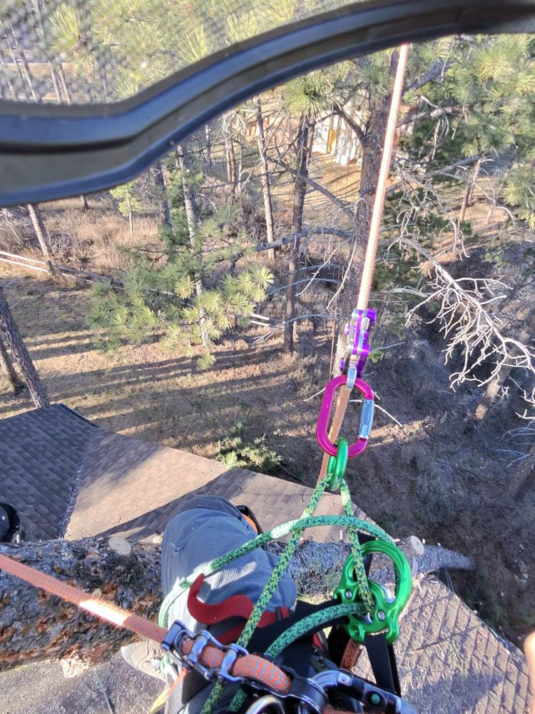 All Photos for Elevated Tree Care in Gillette, WY