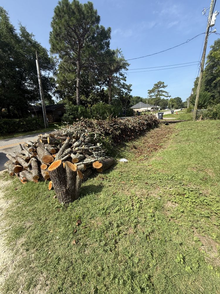 All Photos for Zip Junk Removal in Santa Rosa Beach, FL
