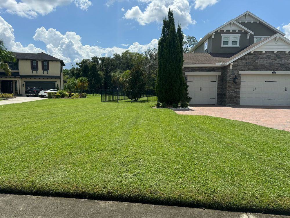 All Photos for MJK Landscaping LLC in Wesley Chapel, FL