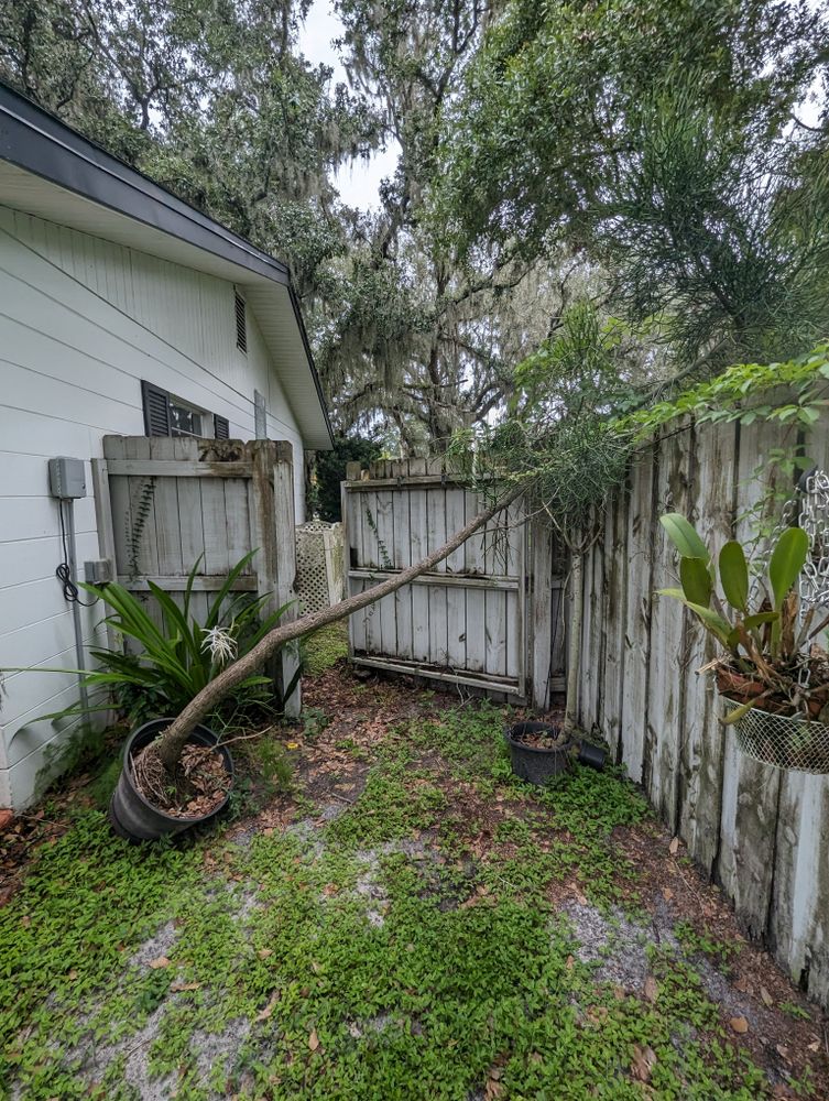All Photos for Regal Tree Service and Stump Grinding in Wauchula, FL