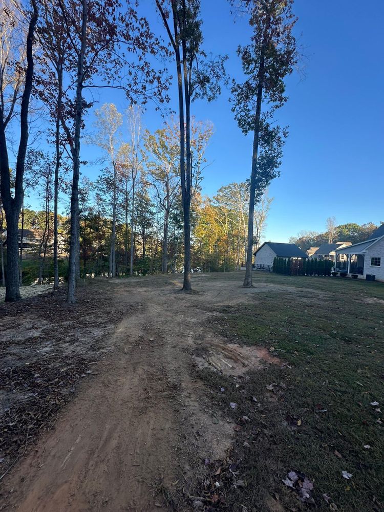 Our Leaf Removal service ensures a clean, beautiful lawn by efficiently collecting and disposing of fallen leaves, enhancing your property's curb appeal while saving you time and effort during the autumn season. for Queen’s Landscaping in Kernersville, NC