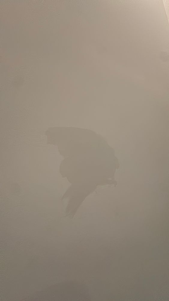 All Photos for Sanchez Paint Pros in Frederick, MD