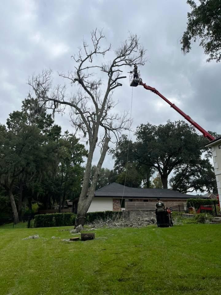 All Photos for Top Notch Tree Experts in Orange Park, FL