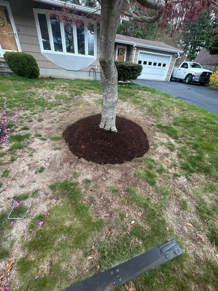 All Photos for Lucas Property Maintenance LLC in New Bedford, MA