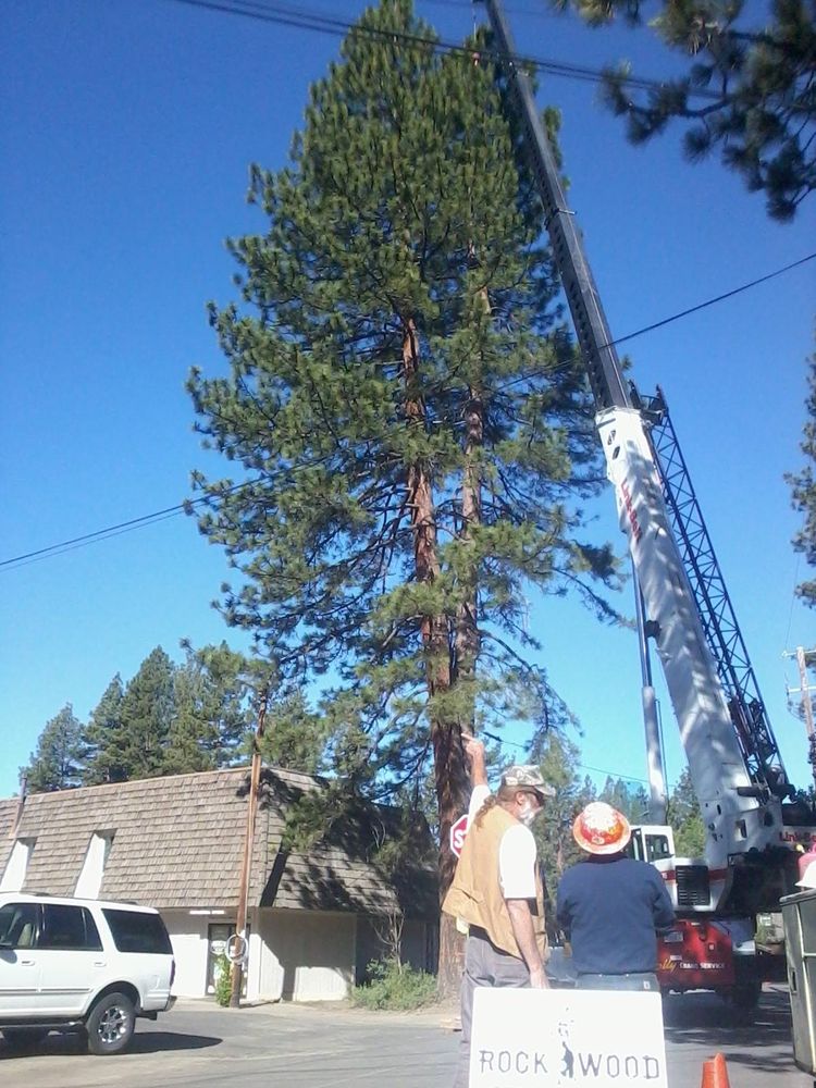 All Photos for Rockwood Tree Service in Incline Village,  NV