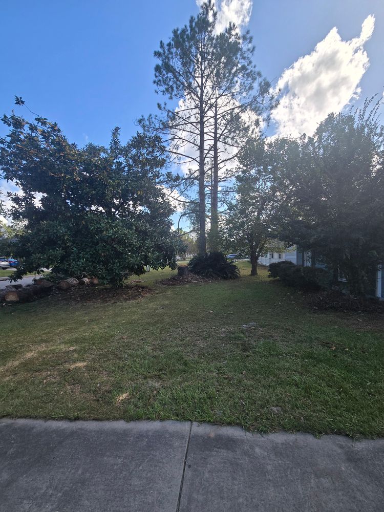 All Photos for Southern Shade Property Service in Ray City, GA