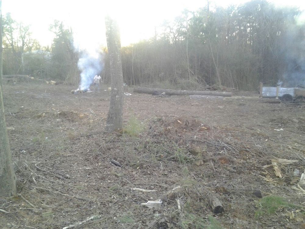 Tree Services for Wofford's Grading Clearing and Landscaping in Milton, GA