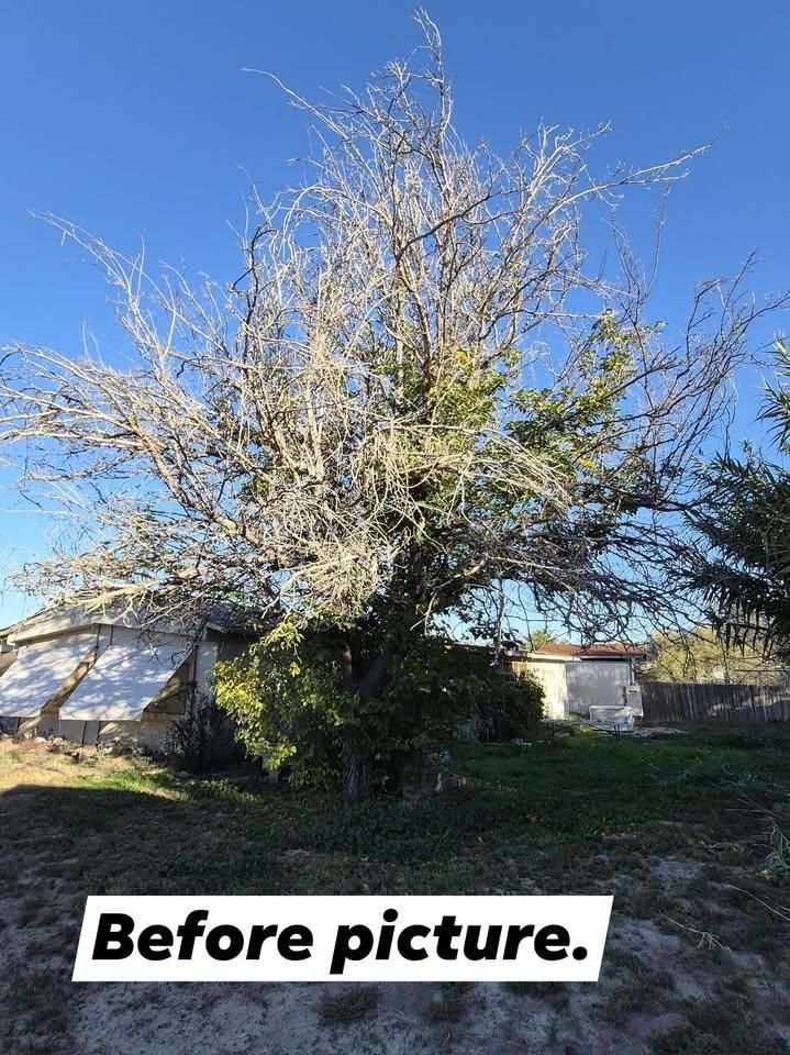 All Photos for D & D Handyman Services LLC in Cottonwood, AZ