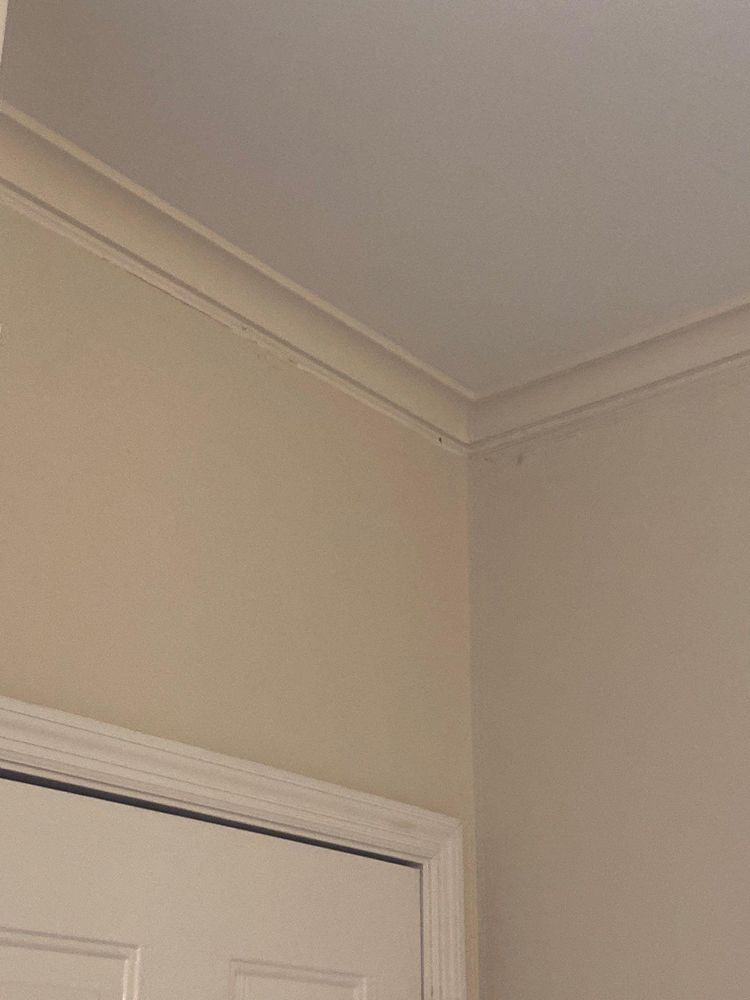 All Photos for ProMaster Painting in Clarksville, TN