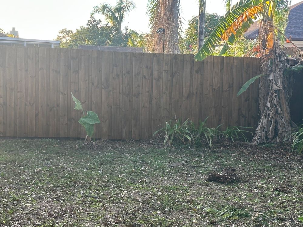 All Photos for The Yardman in Tampa, FL