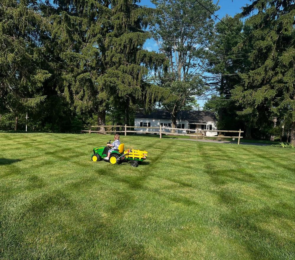 All Photos for Trueman Landscaping in Wexford, PA