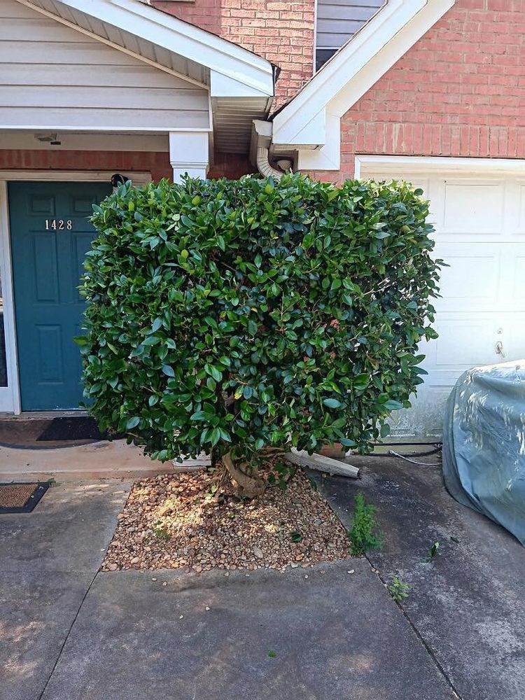 Revitalize your landscape with our expert shrub trimming service. Our team will shape and prune your shrubs to enhance their health and appearance, transforming your outdoor space into a beautiful oasis. for Worsham Landscaping and Pressure Washing LLC in Social Circle, GA