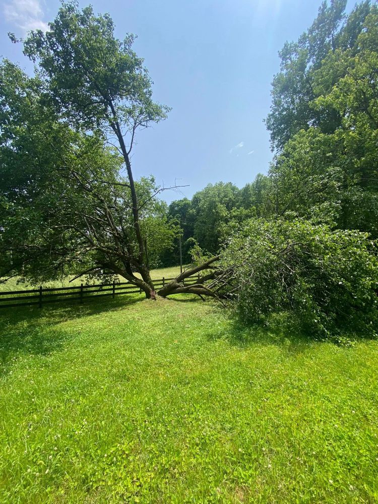 All Photos for Oaks Excavating in Lyles, TN