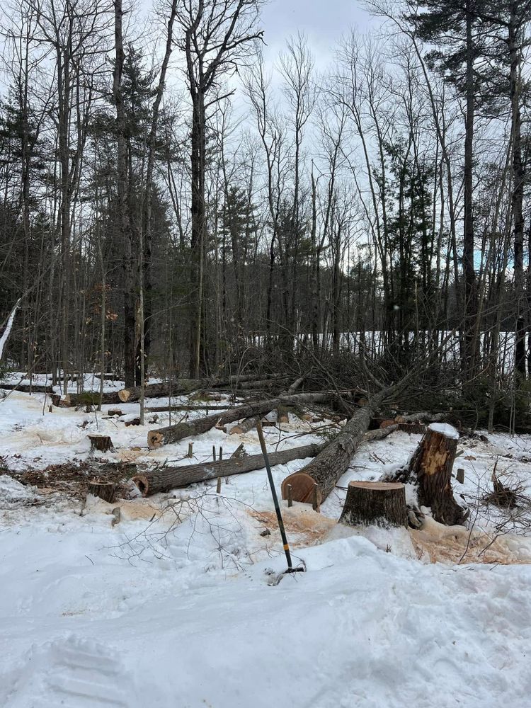 All Photos for Abair Tree Service in Weare, NH