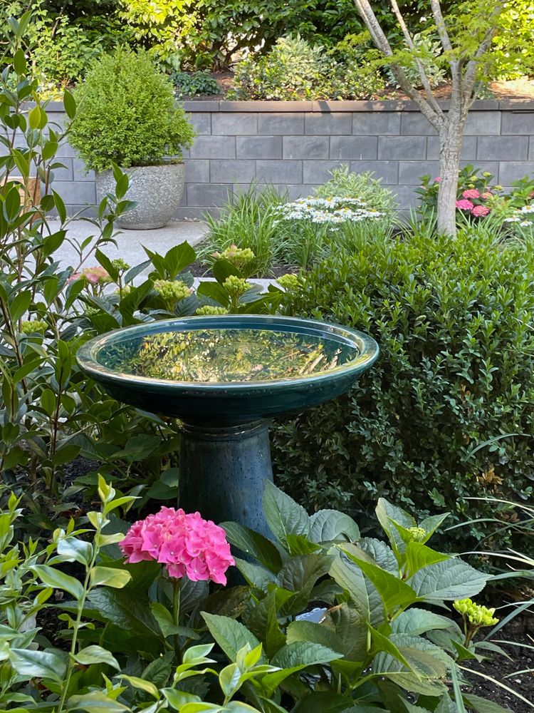 All Photos for Courtney Lewis Landscape Design in Portland, OR
