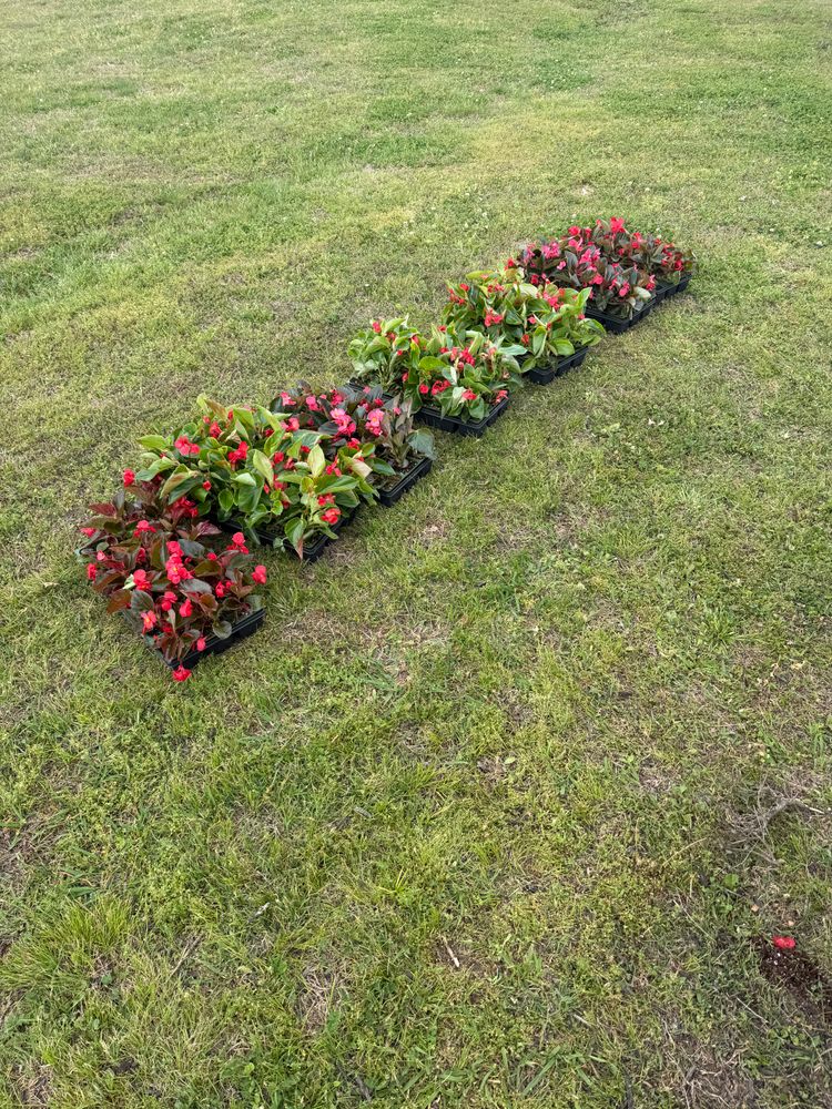 All Photos for Kingdom Landscaping in Memphis, TN