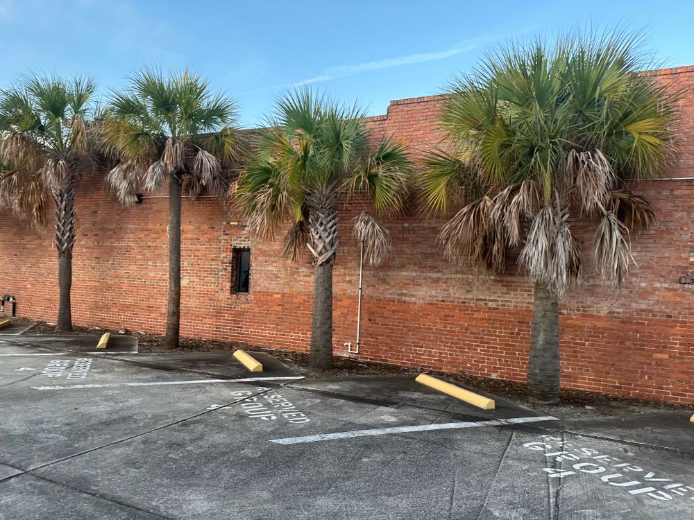 All Photos for All of the Above Landscaping in Orange Park, FL
