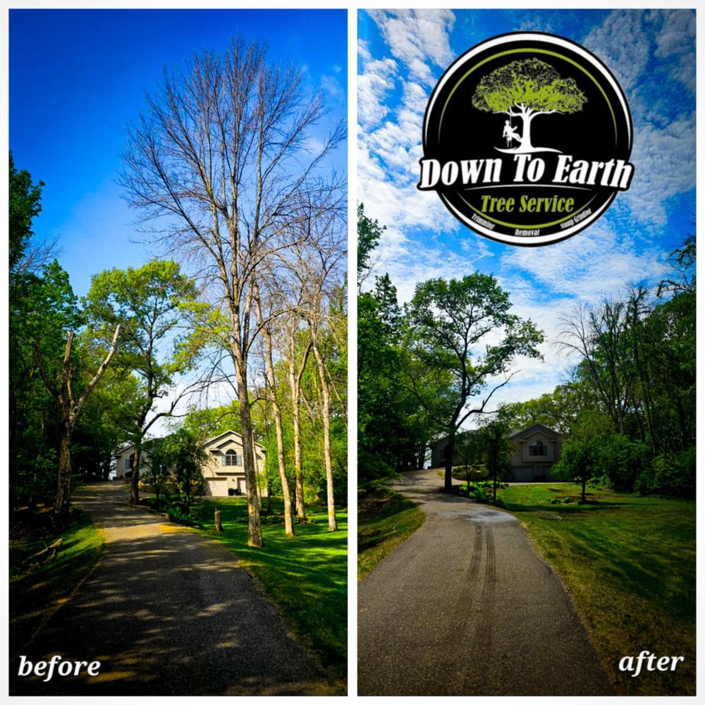 All Photos for Down To Earth Tree Service in Red Wing,  Minnesota