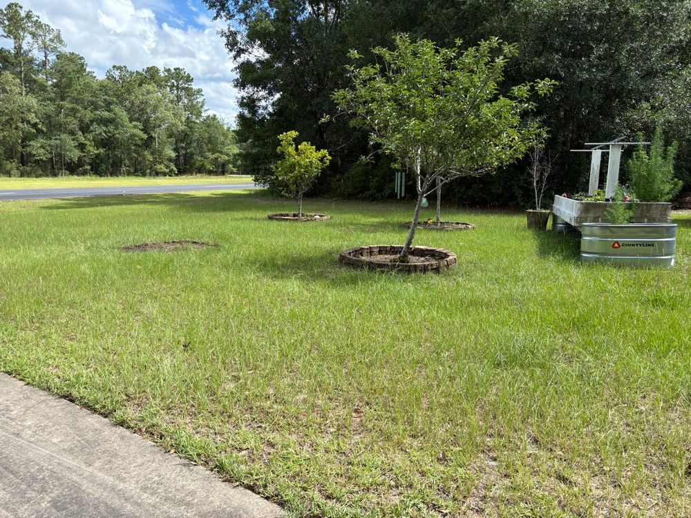 All Photos for Southern Roots Mowing in Townsend, GA