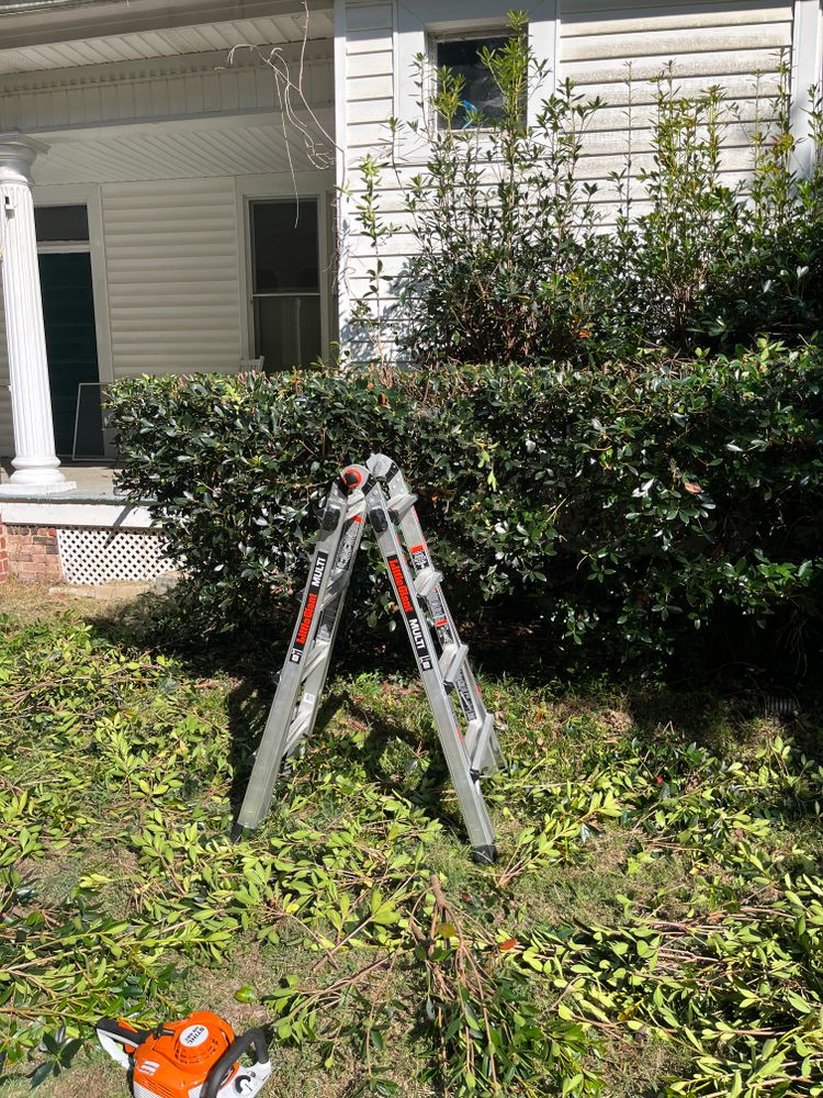All Photos for Dream Cuts Landscaping and Lawn Care LLC in Gastonia, NC