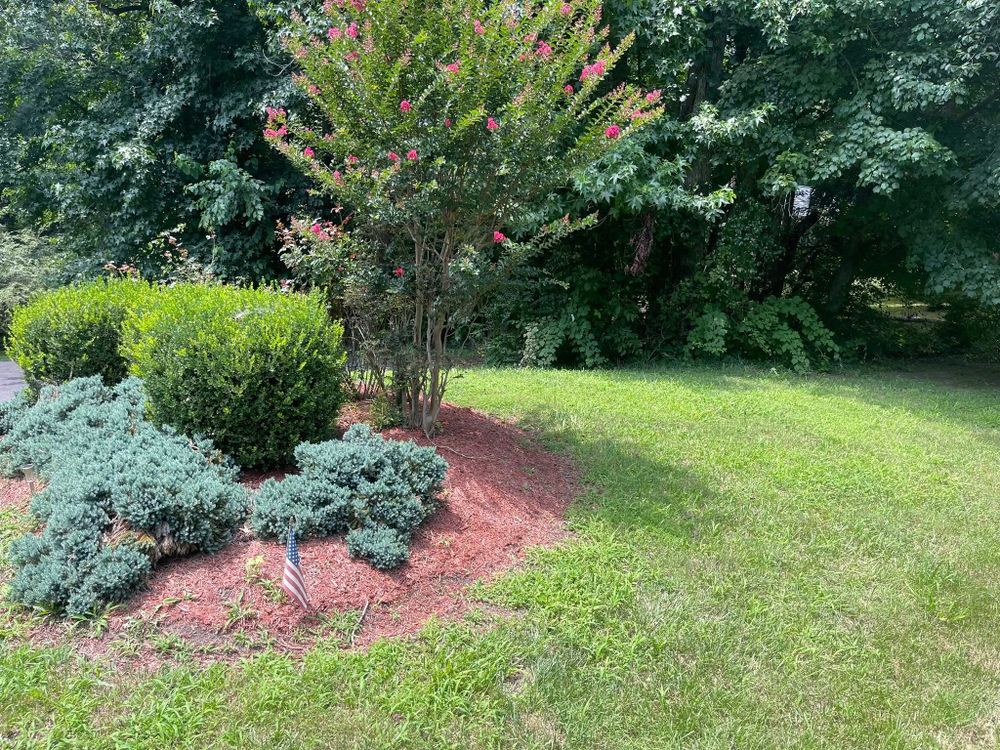 All Photos for Hurley's Cutz in Saint Leonard, MD