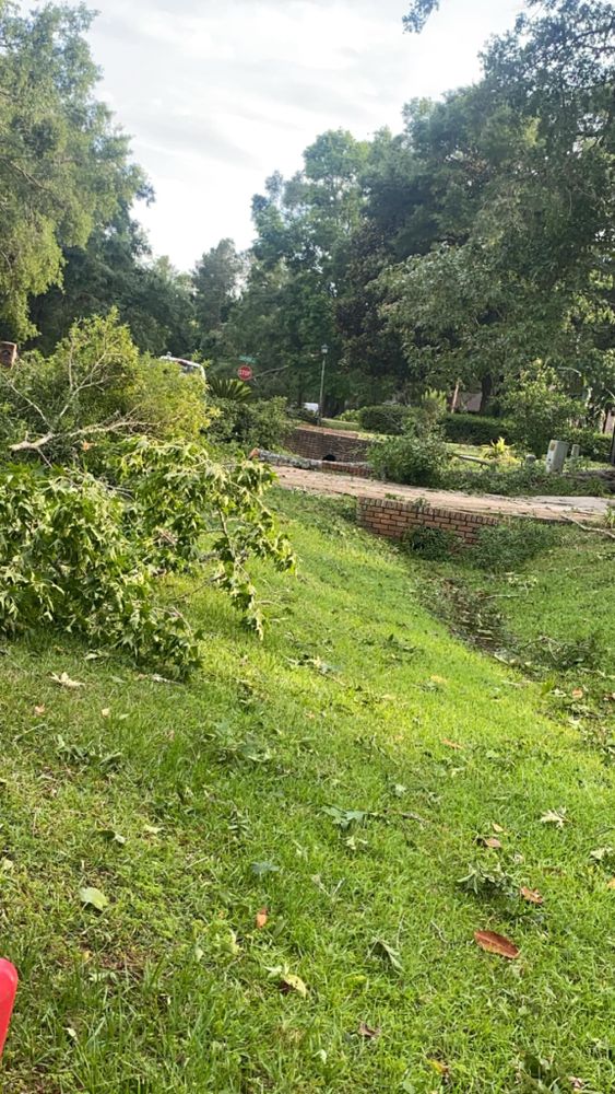 All Photos for Tates Tree Service in Tallahassee, FL