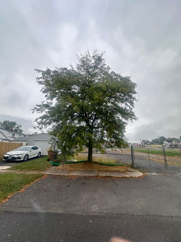 All Photos for Hauser's Complete Care INC in Lancaster, NY